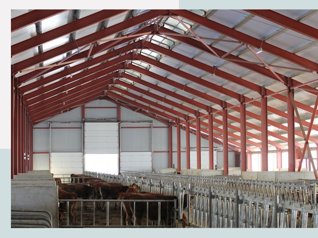 Строительство коровников в Щелково