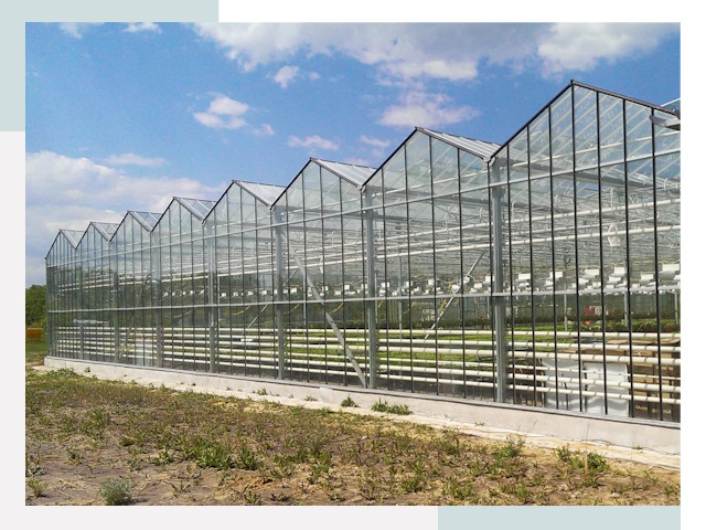 Строительство теплиц в Щелково от 624 руб. за м²