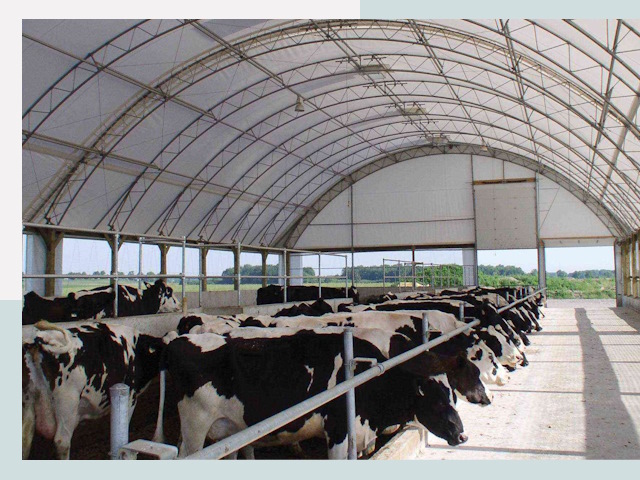 Тентовые коровники в Щелково